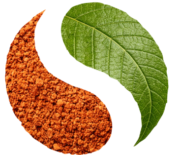 Reverse-fav-Logo-Without-Tag-line-1